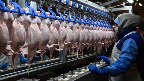 Kampagne Boykott Hähnchen in Syrien: Preise senken