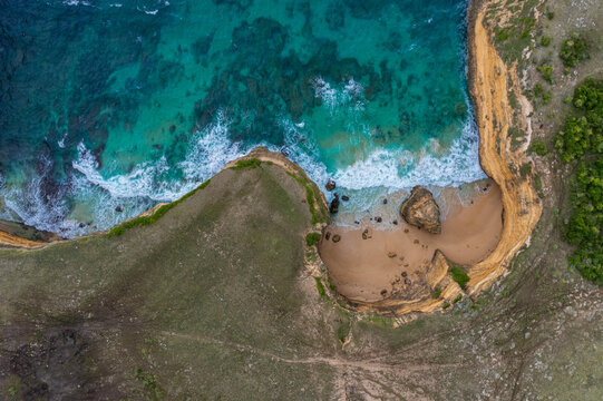 تعزيز الرقابة على الثروة الحيوانية في إندونيسيا