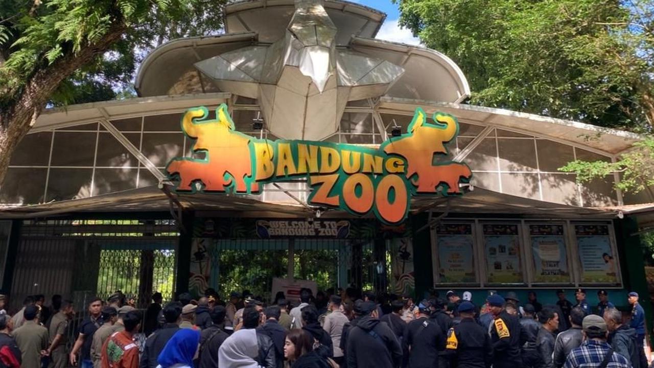 Contrats pour le zoo de Bandung - Continuité du travail