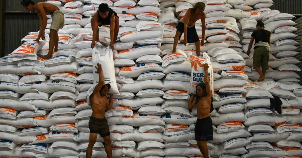 إندونيسيا تعزز الأمن الغذائي بقوانين جديدة