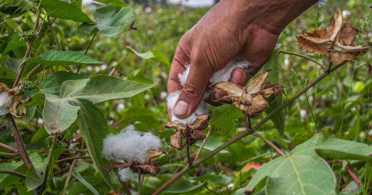 Koton On bestätigt Engagement im asiatischen Markt