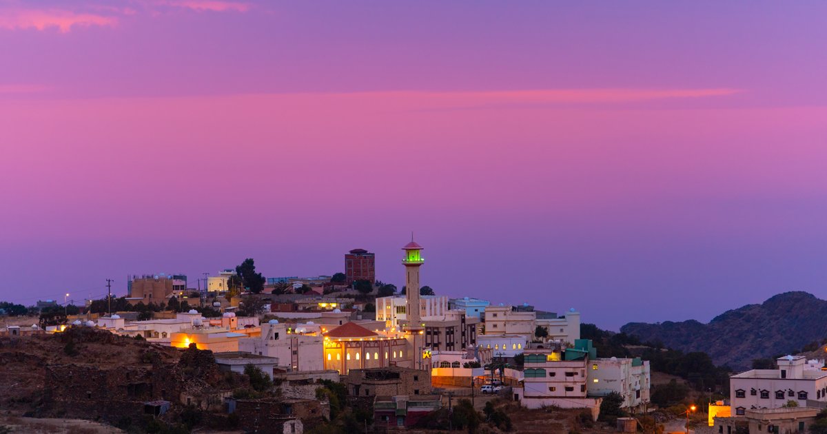 Contrôle des conducteurs de véhicules à Abha pour sécurité routière