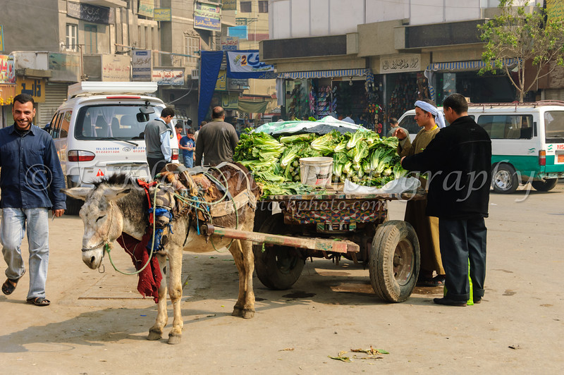 Élever le niveau de préparation à Fayoum face aux intempéries