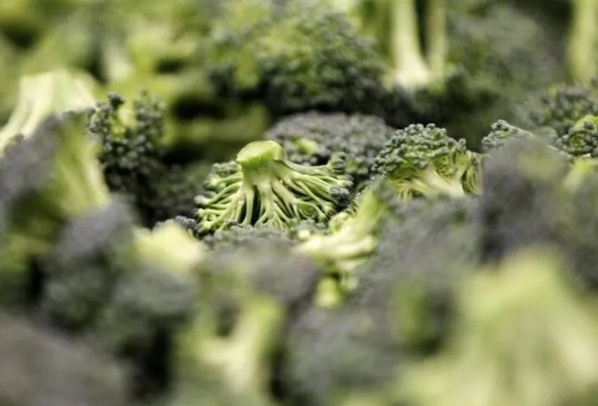 Améliorez la santé cérébrale : 9 aliments efficaces