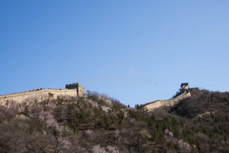 Beauté du printemps sur la Grande Muraille de Chine
