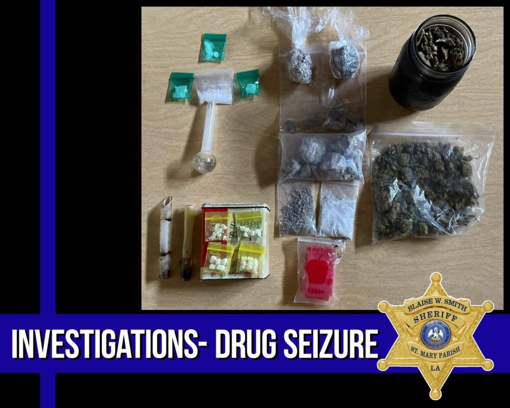 كشف شبكة المخدرات في ديلونا فيستا بالي