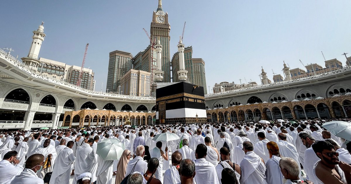 وصول 5647 حاجاً إلى الأراضي المقدسة وتوفير خدمات متكاملة