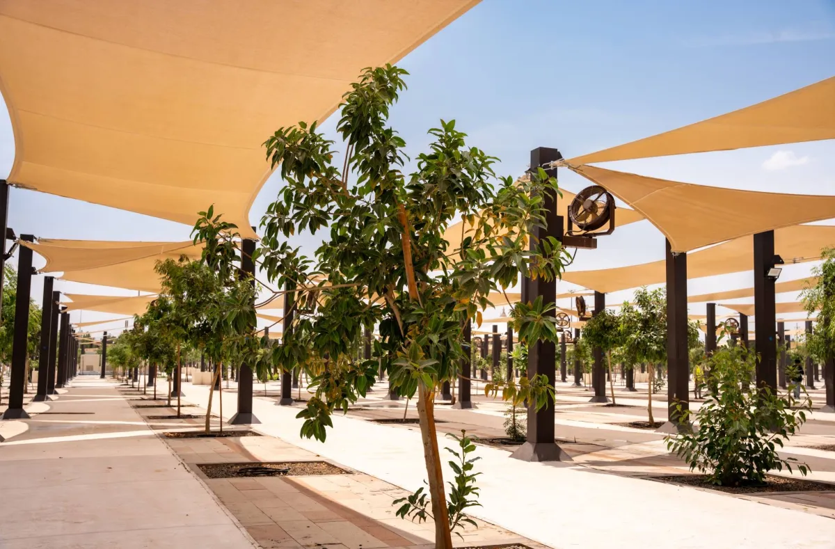 زراعة 60 ألف شجرة في المشاعر المقدسة