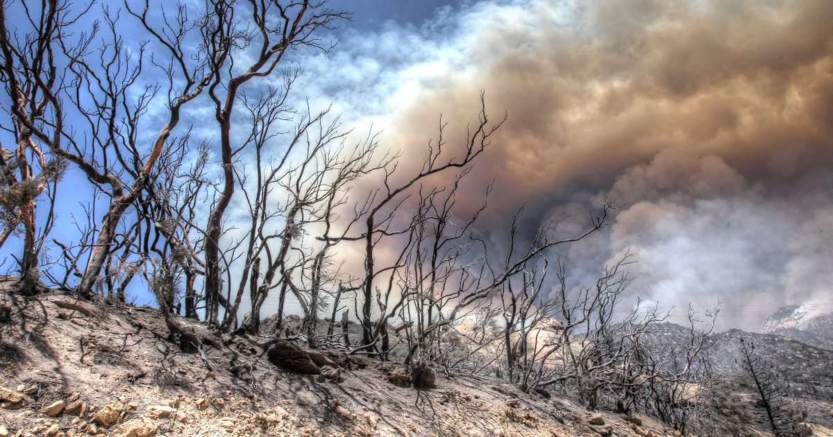 تغير المناخ وتأثيراته على كوكب الأرض