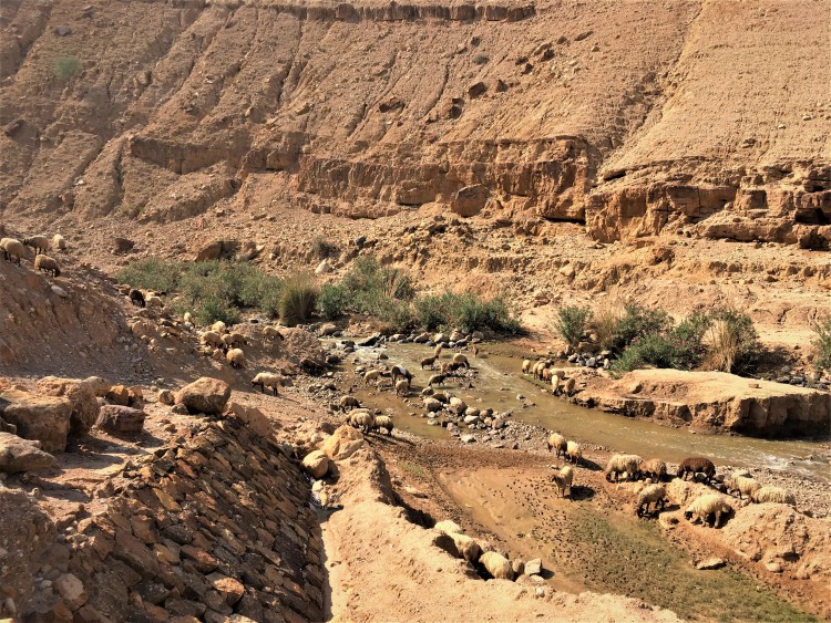 أمطار قياسية في الأردن تعزز المخزون المائي