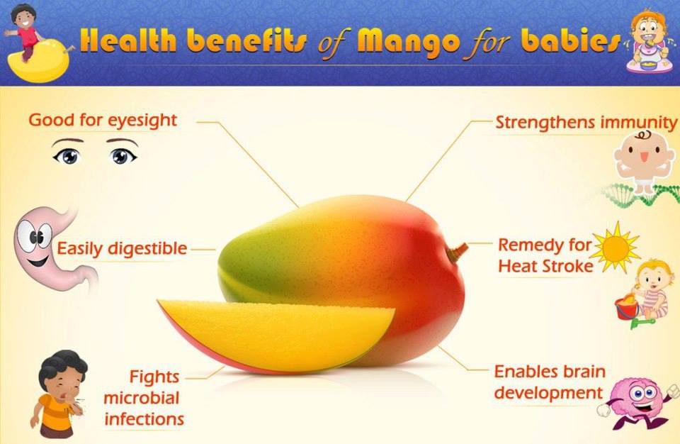 فوائد تناول المانجو والأفوكادو لصحة القلب