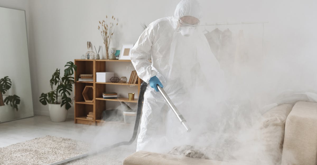 تحسين النظافة في كفر الشيخ بمعدات كنس حديثة