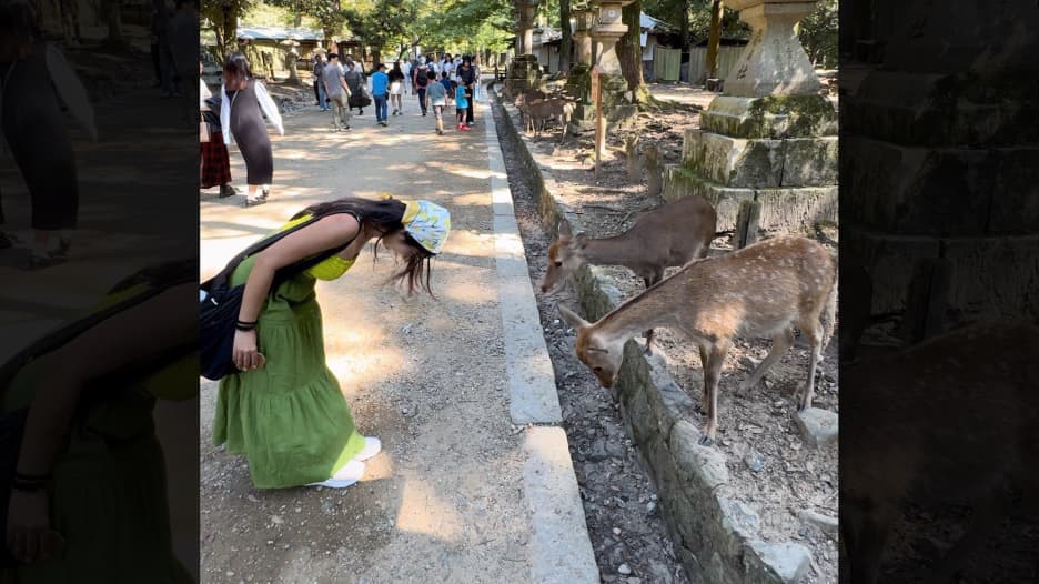 اليابان تطلب التحول إلى تسعير برنت للنفط