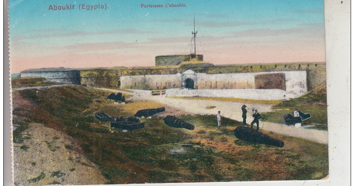 Launch Experimental Operations at Abu Kabir Slaughterhouse