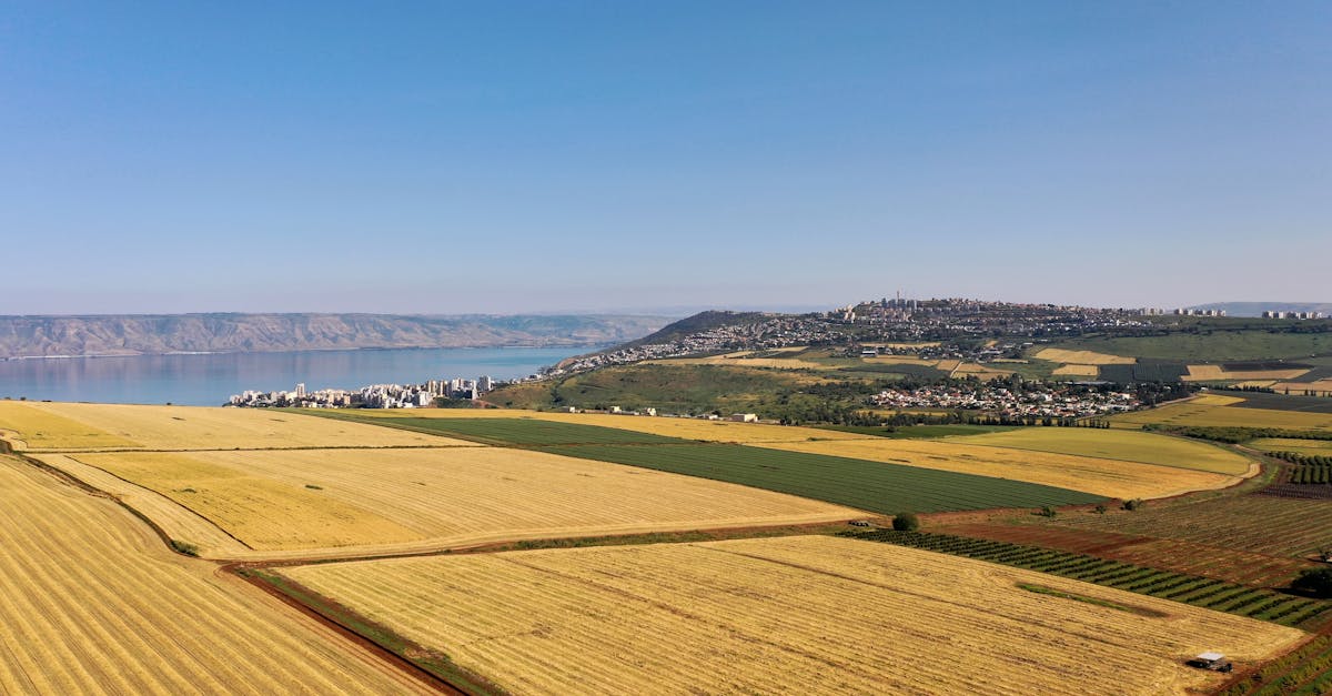 إسرائيل تؤكد استمرار جهودها ضد حزب الله في لبنان