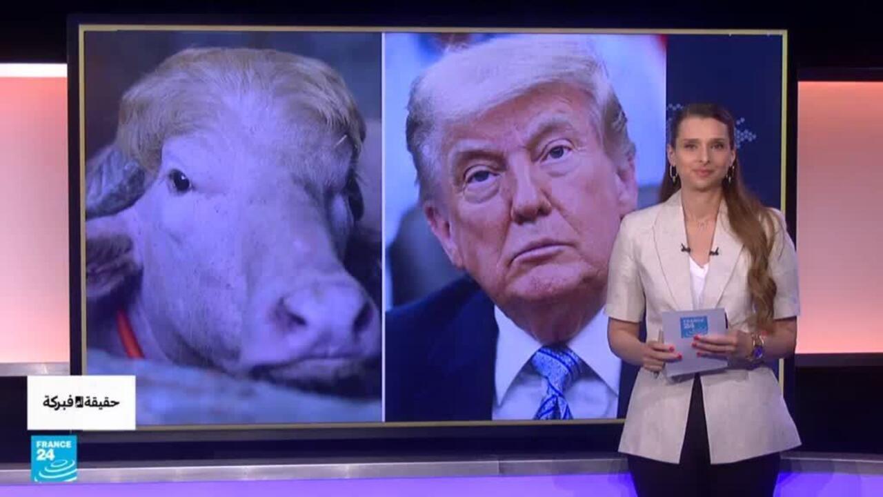 Iran Mocks Trump with White Buffalo Video Amid Tensions