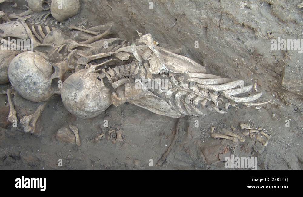 Discover Human Bones in Nabu, Indonesia