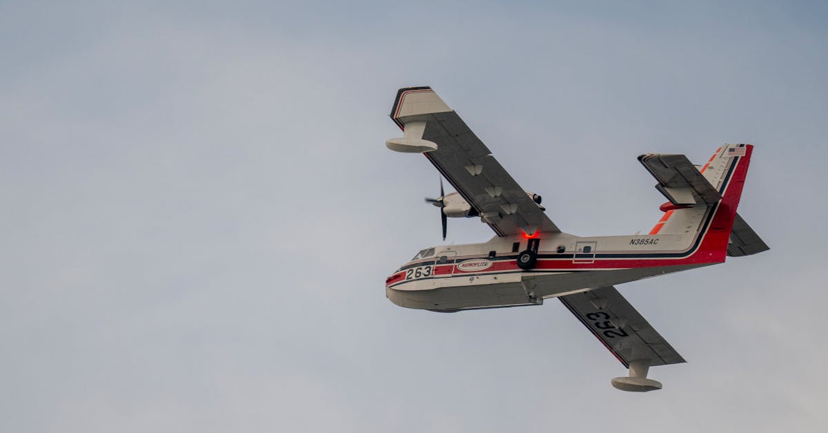 Downed American Fighter Jet Over Iran: Survival Tips