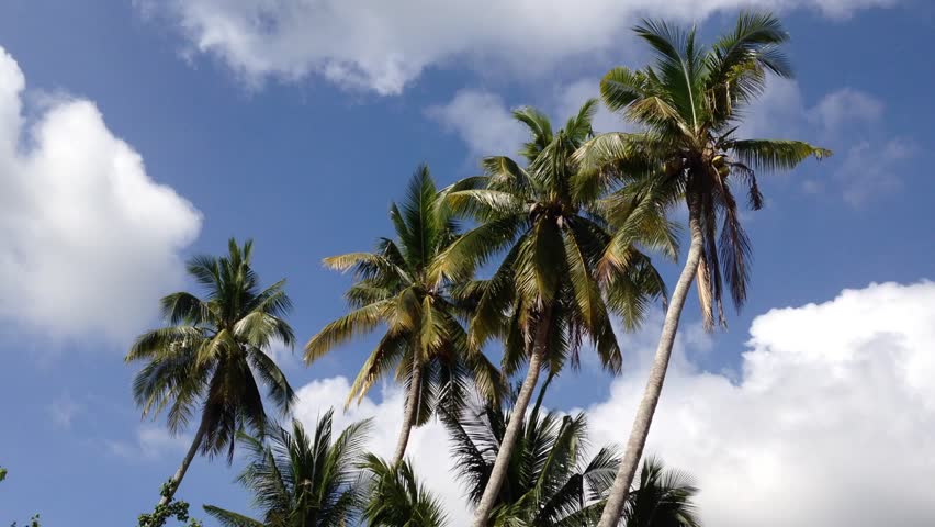 دبي تطلق حديقة خيرية للوقف الجماعي