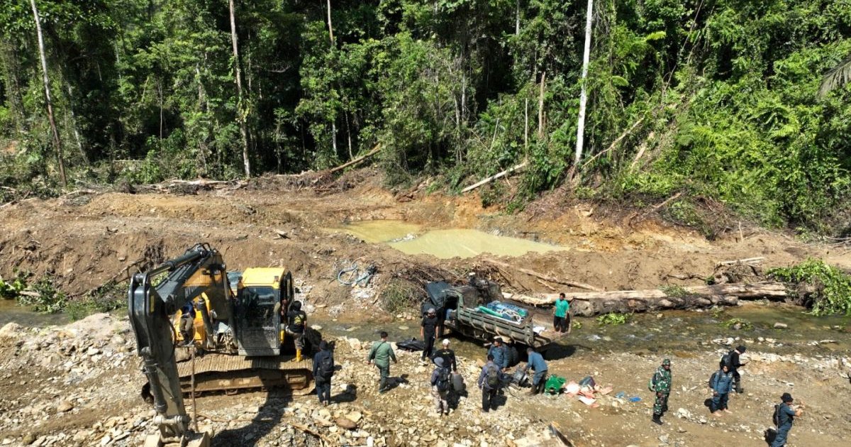 كشف شبكة التنقيب عن الذهب غير القانونية في إندونيسيا