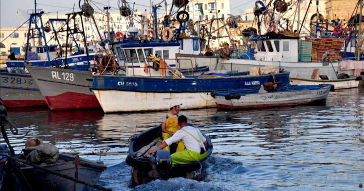 Accord Algérie-Mauritanie pour la pêche maritime