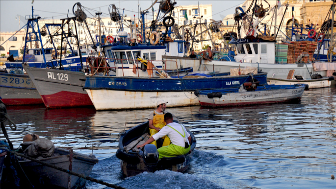 اتفاق الجزائر وموريتانيا للصيد البحري