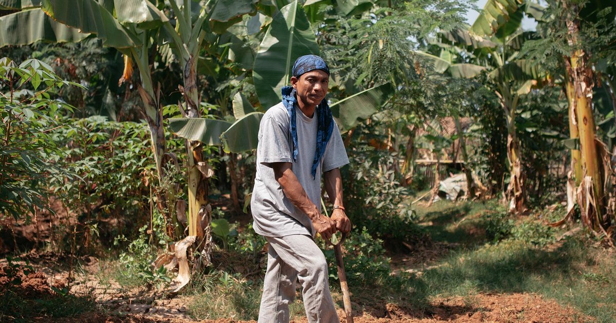 Ernährungssicherheit durch urbane Landwirtschaft in Jakarta