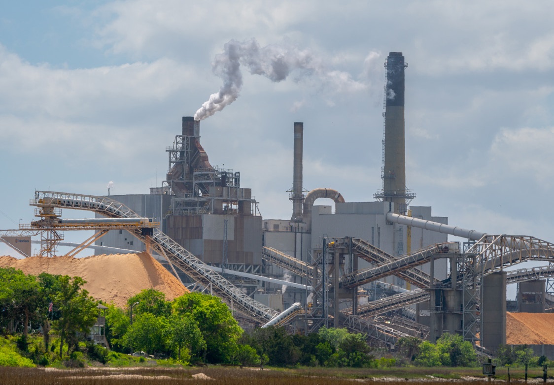 دور قطاع pulp والكرتون في تعزيز الاقتصاد الإندونيسي