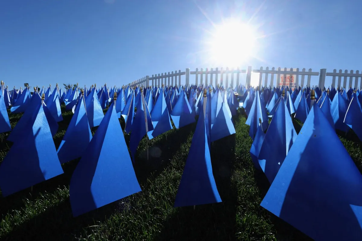 Genetically Modified Bacteria for Cancer Treatment