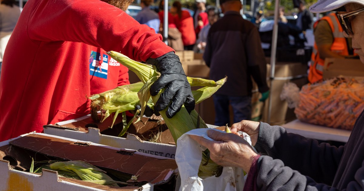 Accelerate Food Security Initiative in Jordan