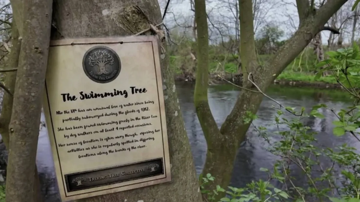 طفلة بريطانية تحول الأشجار إلى شخصيات تحكي قصصها