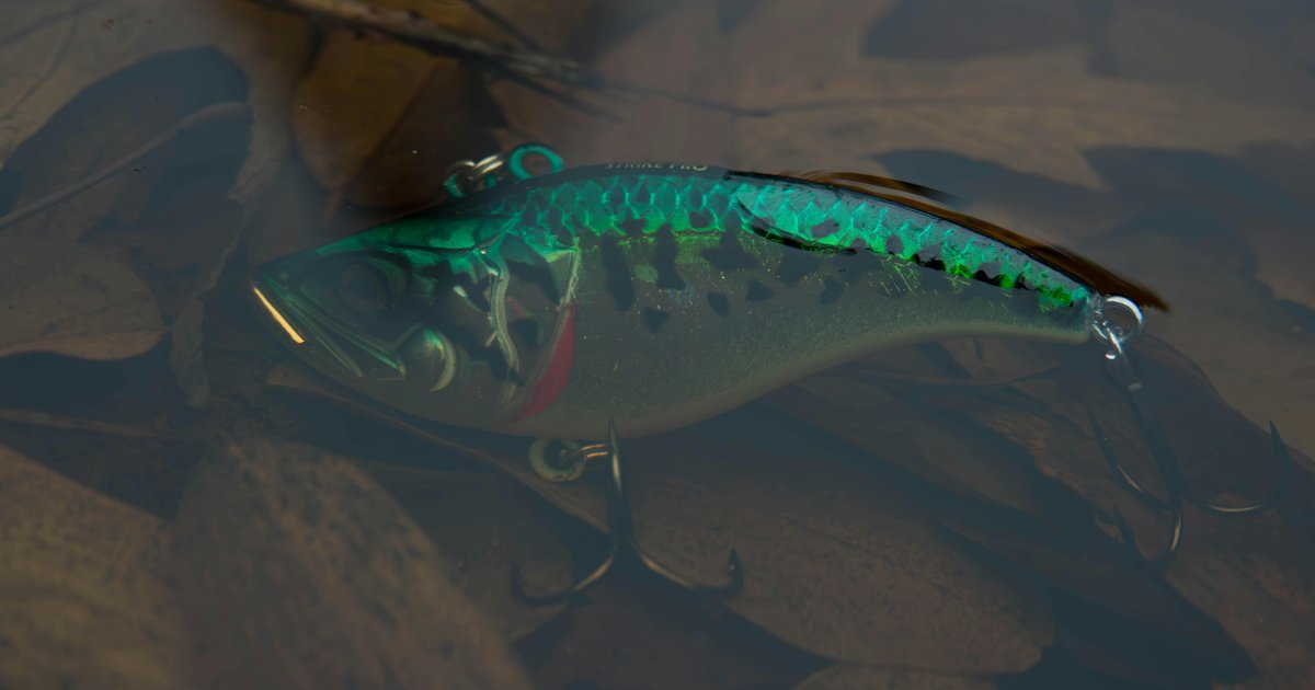 اكتشاف سفينة حربية دنماركية مفقودة بعد 225 عاماً