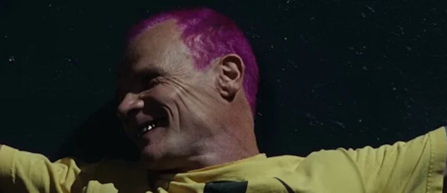 فلي يحقق حلمه بألبوم جاز منفرد 'هونورا'