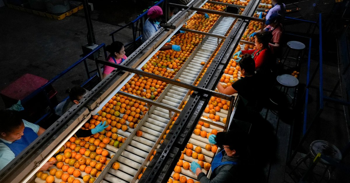 ترامب يفرض رسوم جمركية على الدول الموردة للأسلحة لإيران