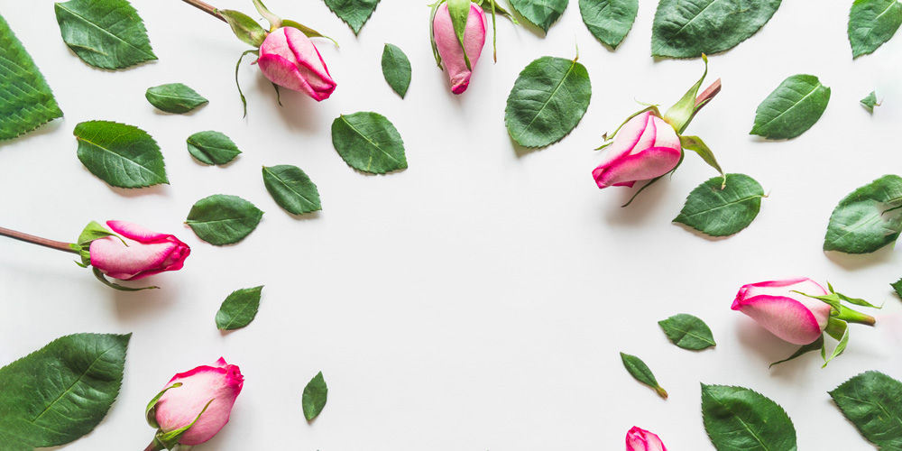 Taif-Rosenwasser: Ein kulturelles Erbe Saudi-Arabiens