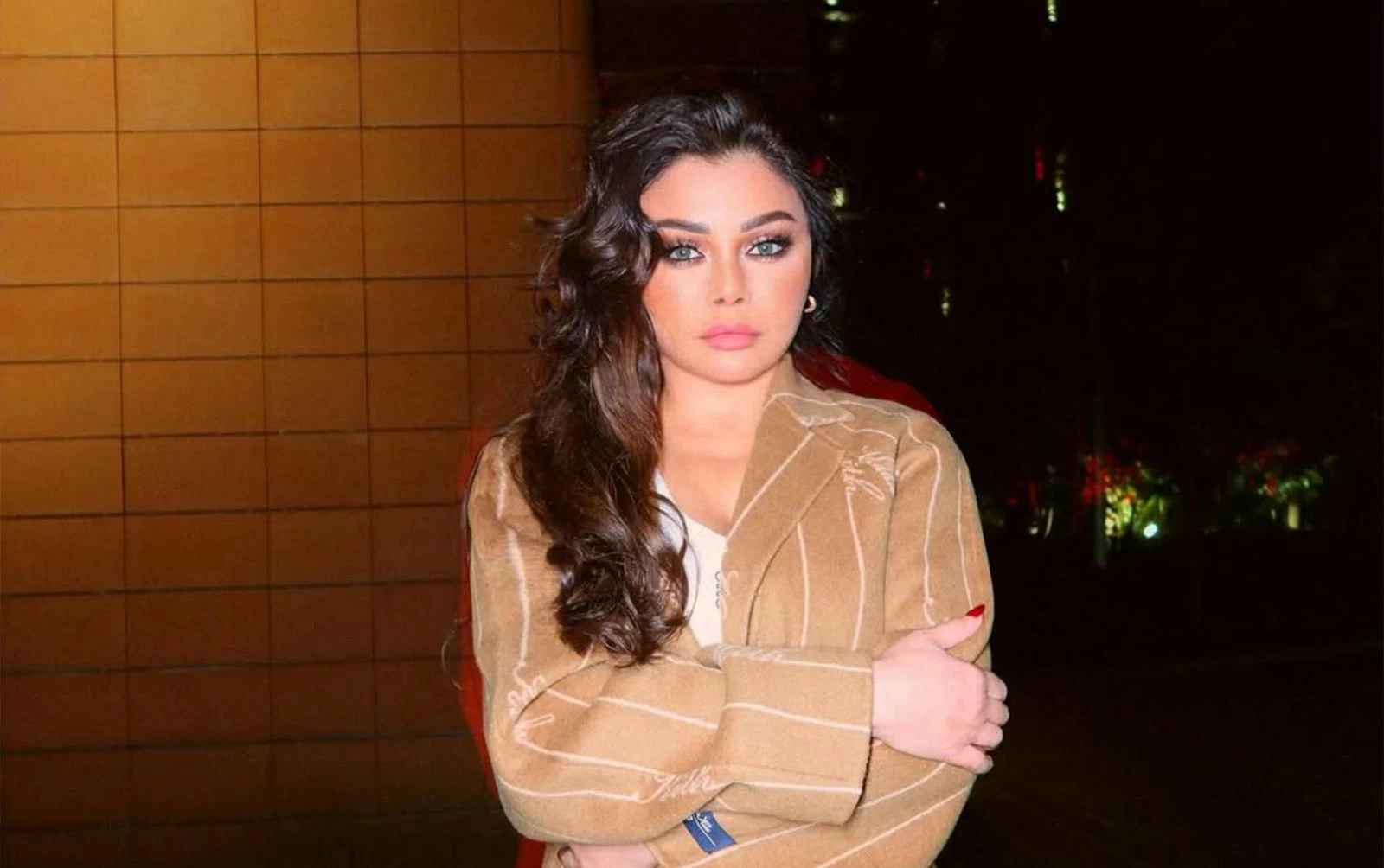 هيفاء وهبي ضد طبيب تجميل: الحكم النهائي في مايو