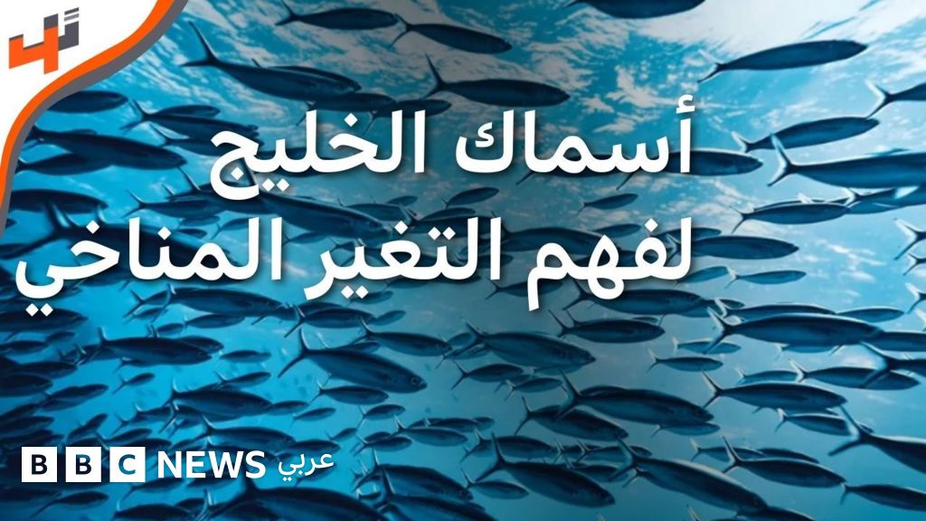 Gulf Security Challenges: Geopolitical Conflict and Impact