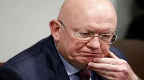 Nebenzia Blames West for Child Deaths in Starobilsk