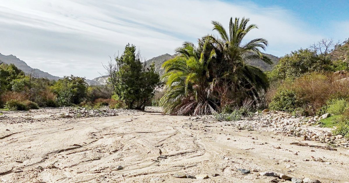 Wadi Abal : destination naturelle au sud de Taïf