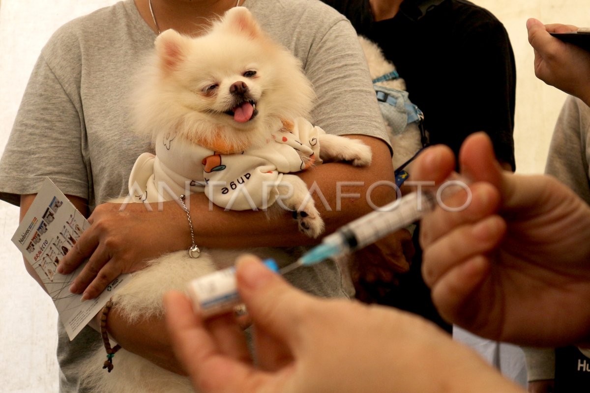 Free Rabies Vaccination Campaign in Bogor, Indonesia