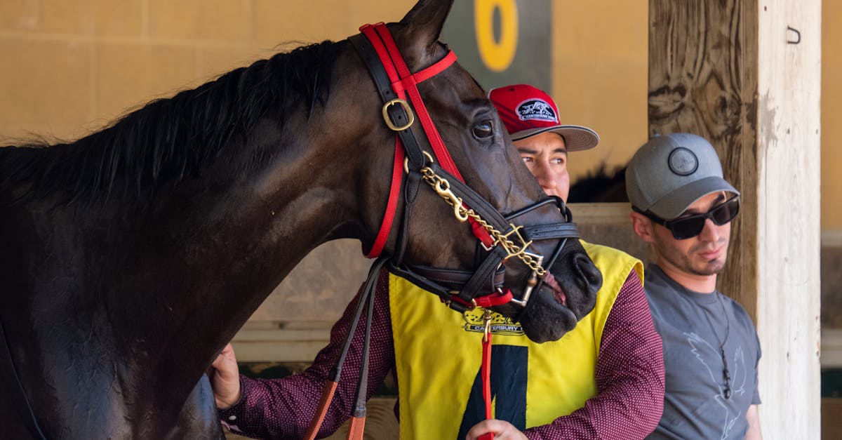 د "امبودسمان" بریالیتوب د "دبي تيرف" په 2026 کې