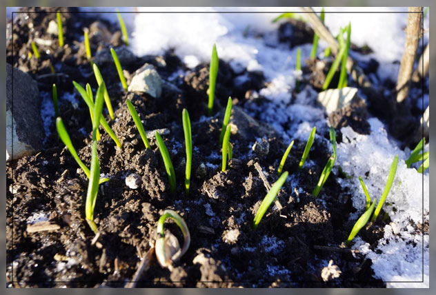 Prolongement des engrais d'hiver jusqu'au 7 avril 2024