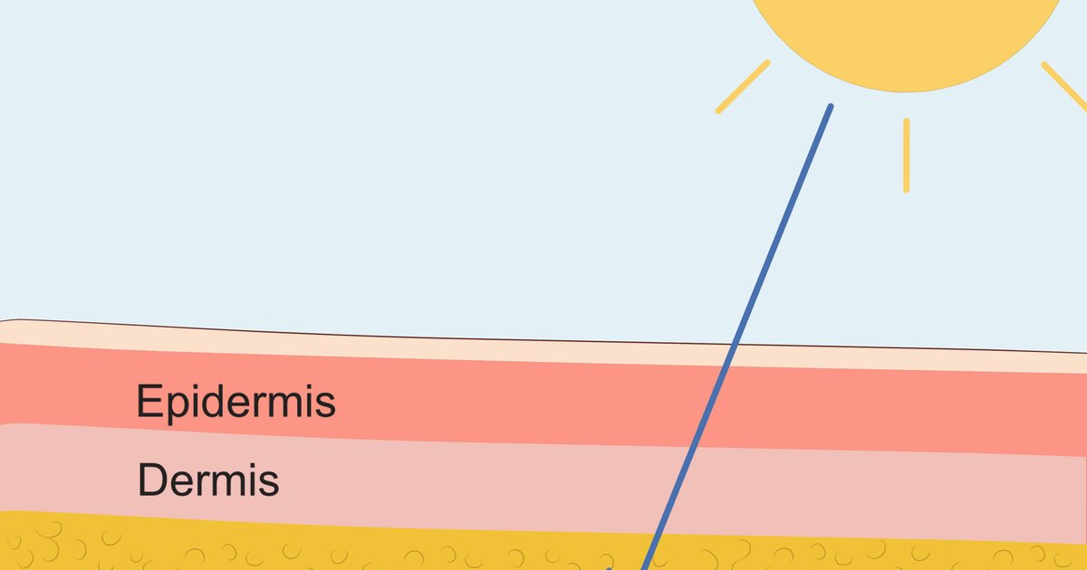 4 habitudes matinales pour améliorer l'absorption de la vitamine D