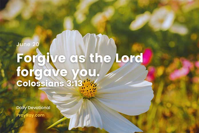 Amour et pardon : clés du bonheur quotidien