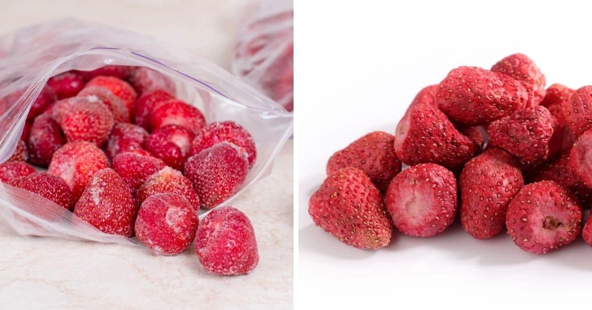 كيفية تخزين الفراولة في الفريزر بشكل صحيح