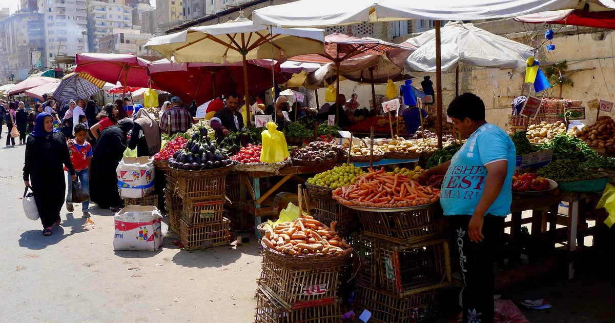 Minister Inspects Development Projects in Alexandria