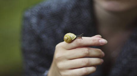Small Robots for Precise Bowel Cancer Treatment