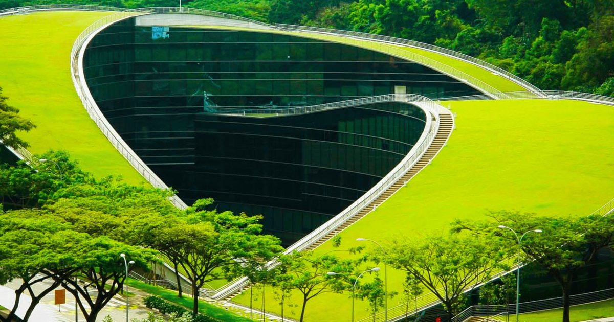 نموذج ذكاء اصطناعي لمراقبة جودة الطعام