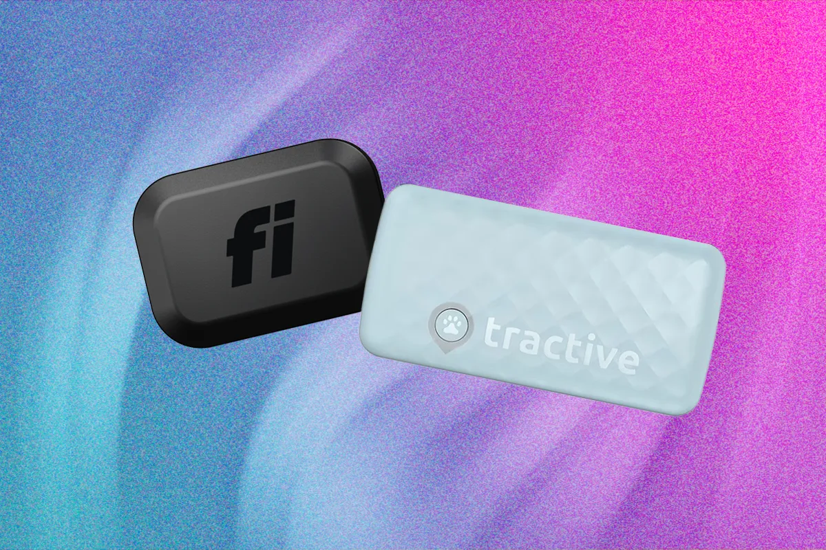 أفضل الأطواق الذكية للقطط: مقارنة بين Tractive وFi Mini