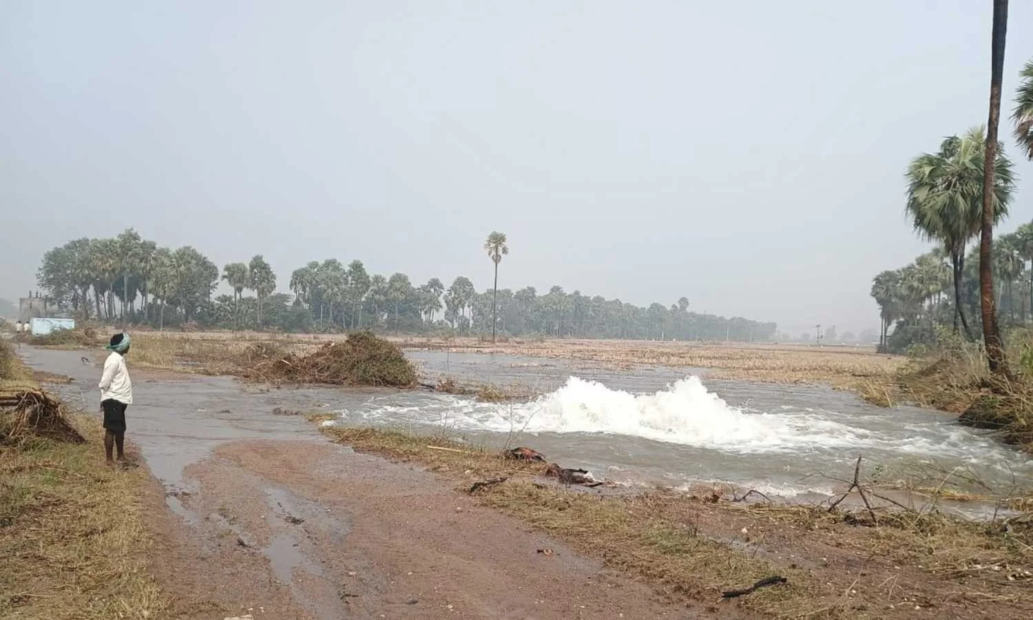 انقطاع مياه الشرب في الإسكندرية: بيان رسمي